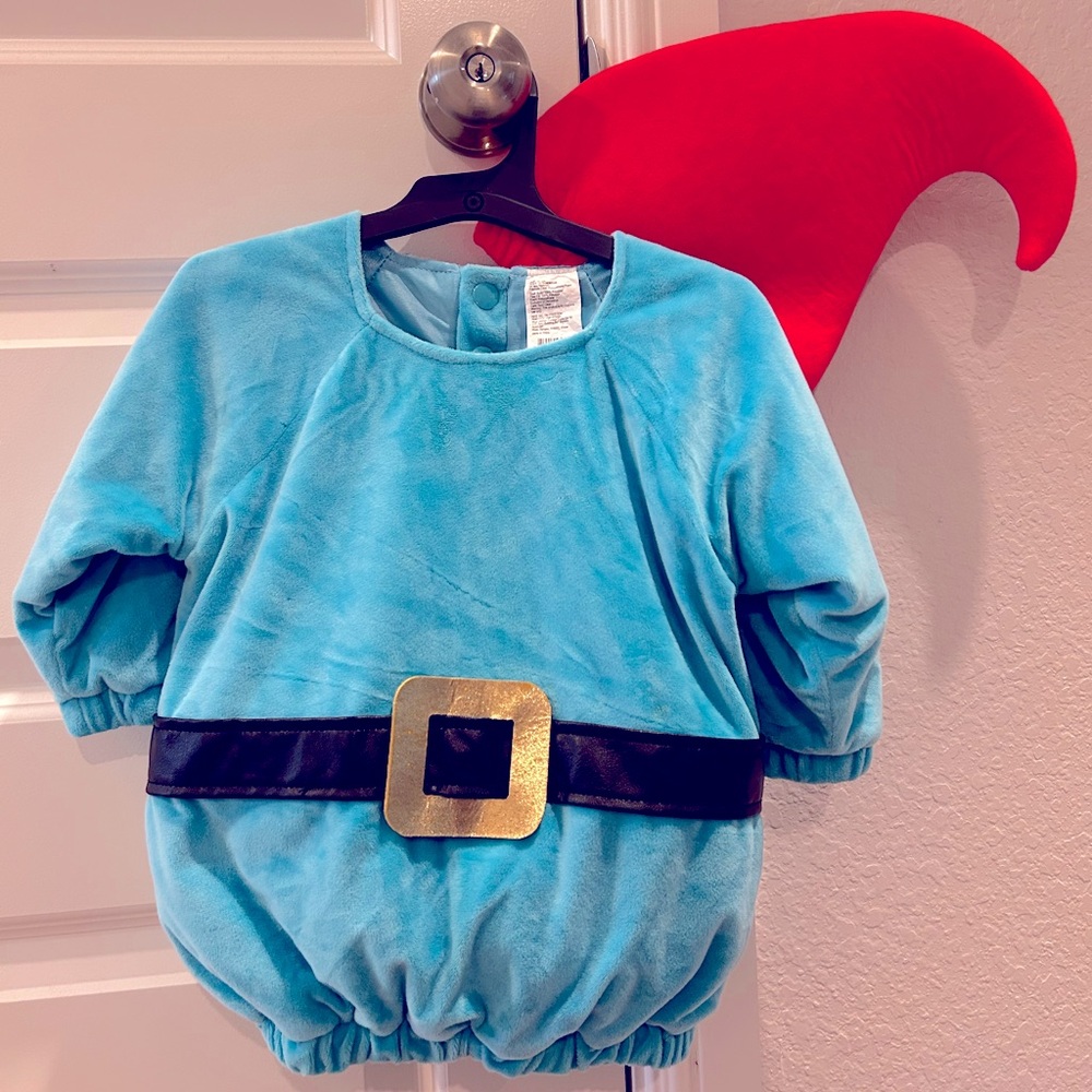 Cute elf costume. Used once. Very comfortable inside.
